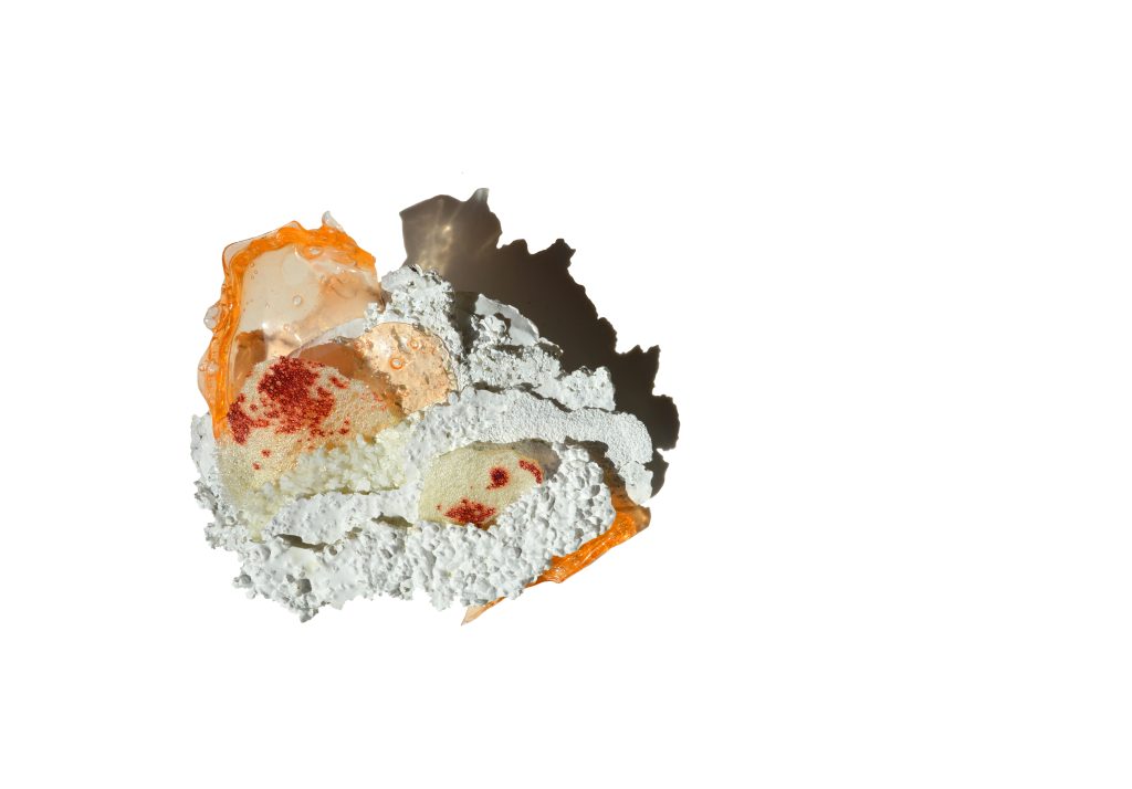 cova rios brooch